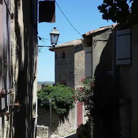 Vakantiehuis Le Logis Des Remparts A L'interieur De La Cite Medievale, Jardin Prive, Parking Inclus *